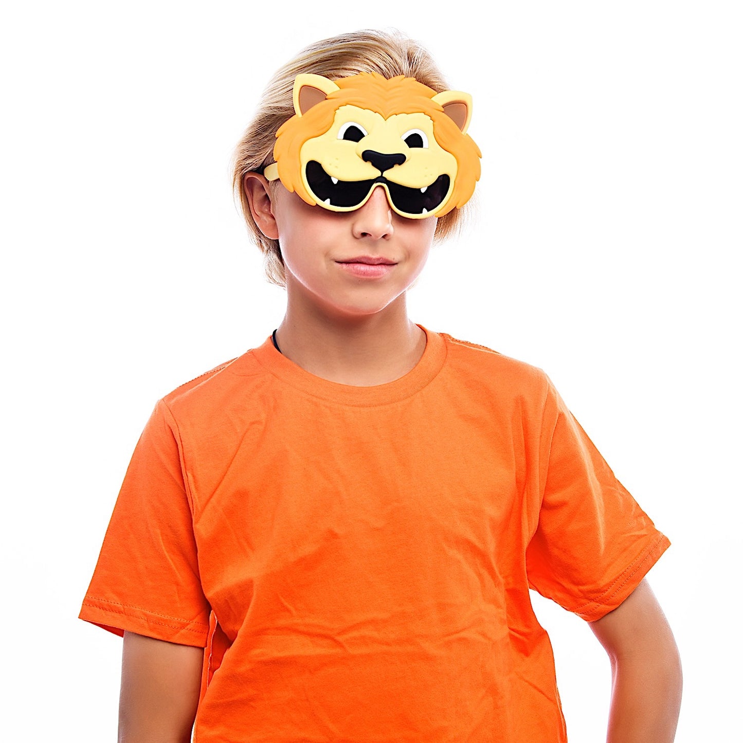 Lion Lil' Characters Sun-Staches®